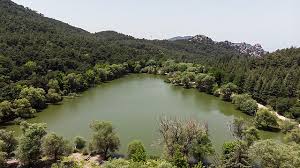 Karagöl Tabiat Parkı (yakın çevre)